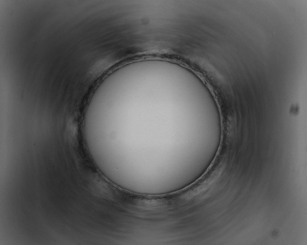 X0000102871257200809021439