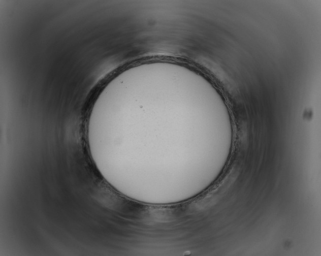 X0000102871258200809021439