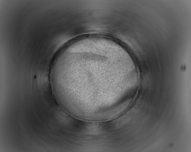 X0000102871259200809021439