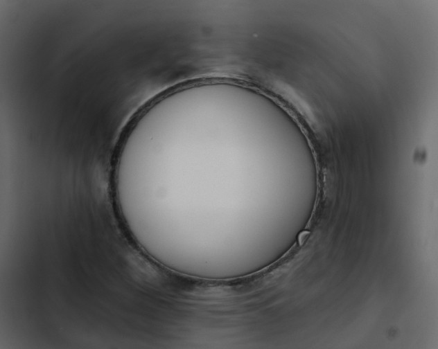 X0000102871260200809021439