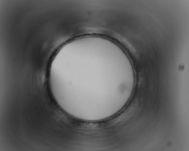 X0000102871261200809021439