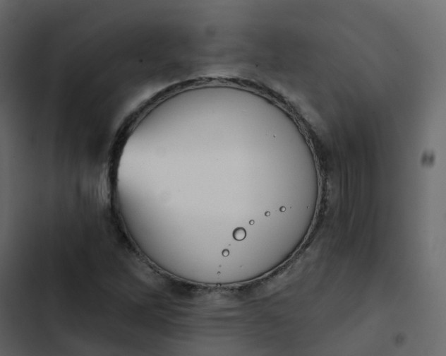 X0000102871262200809021439