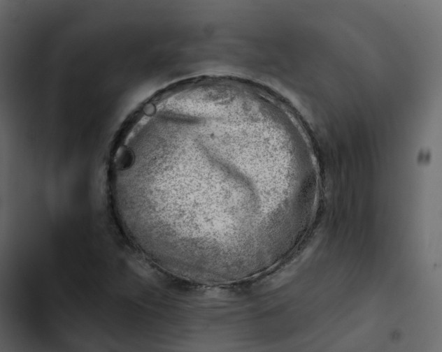 X0000102871263200809021439