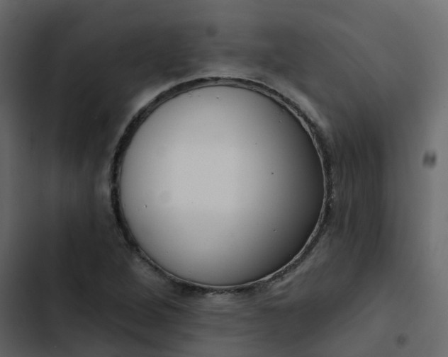 X0000102871264200809021439