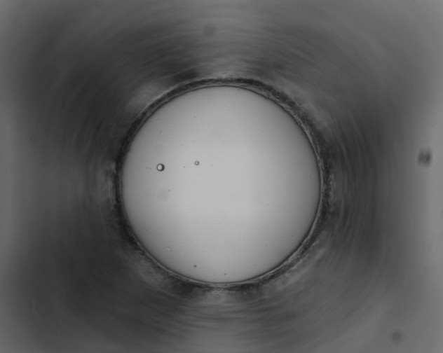 X0000102871265200809021439