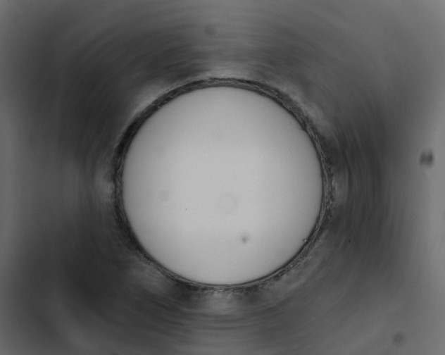 X0000102871266200809021439