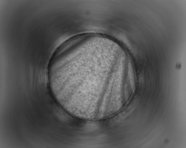 X0000102871267200809021439