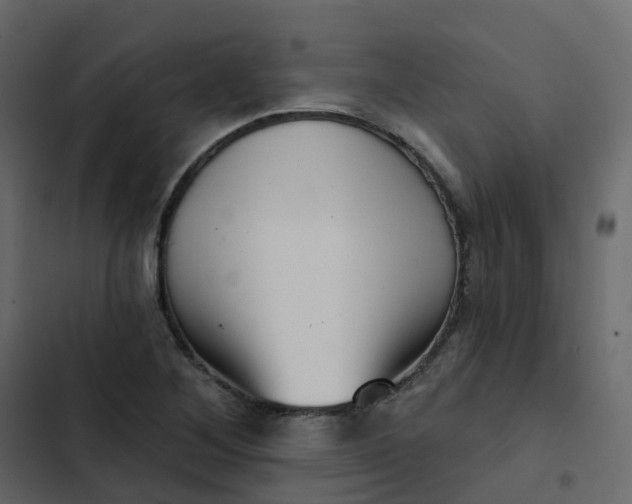 X0000102871268200809021439