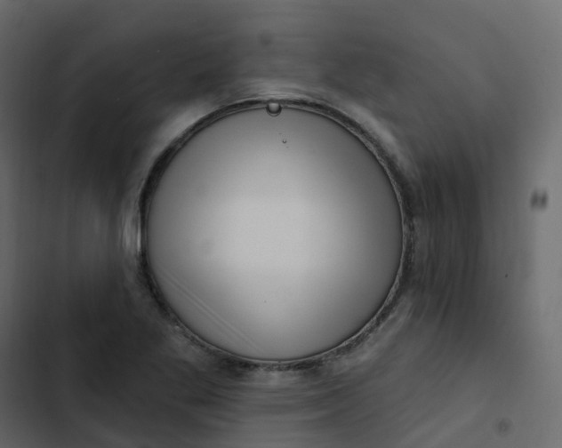 X0000102871269200809021439