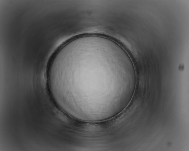 X0000102871270200809021439