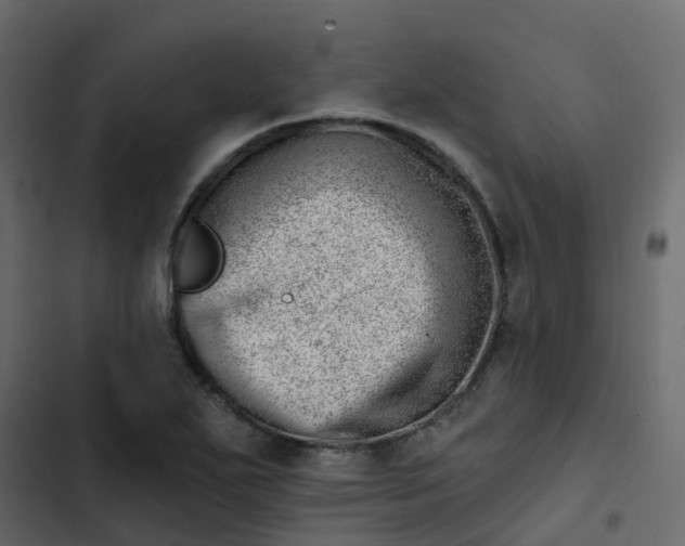 X0000102871271200809021439