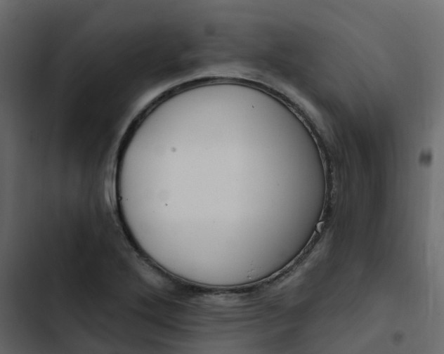 X0000102871272200809021439