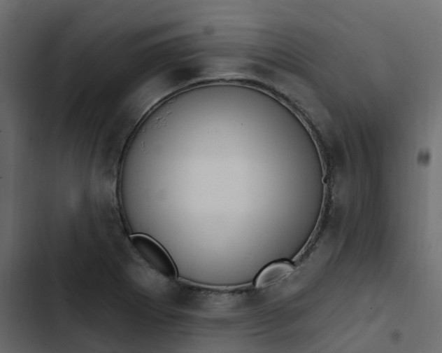 X0000102871273200809021439