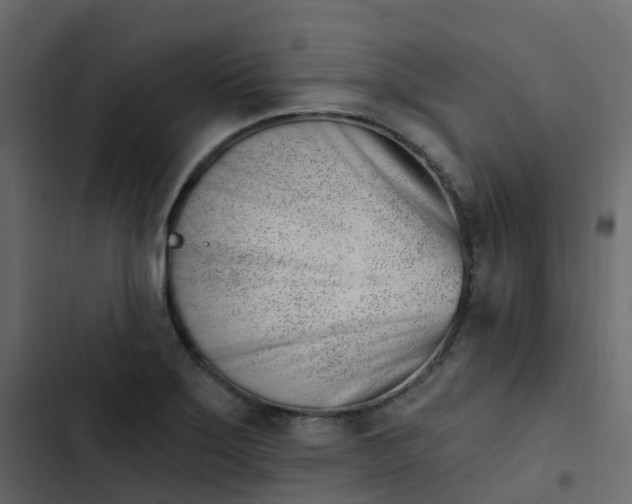 X0000102871275200809021439