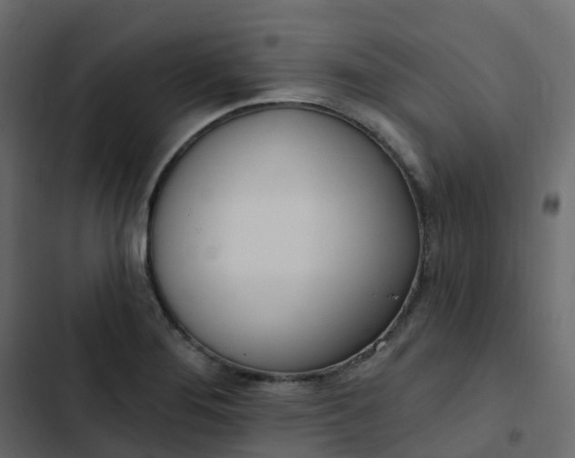 X0000102871276200809021439