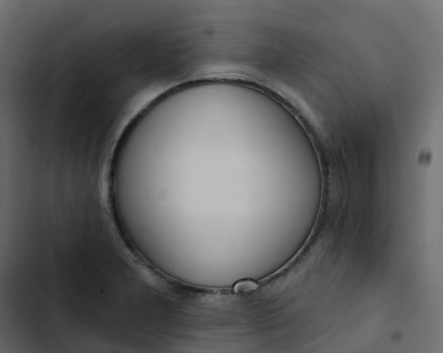 X0000102871277200809021439