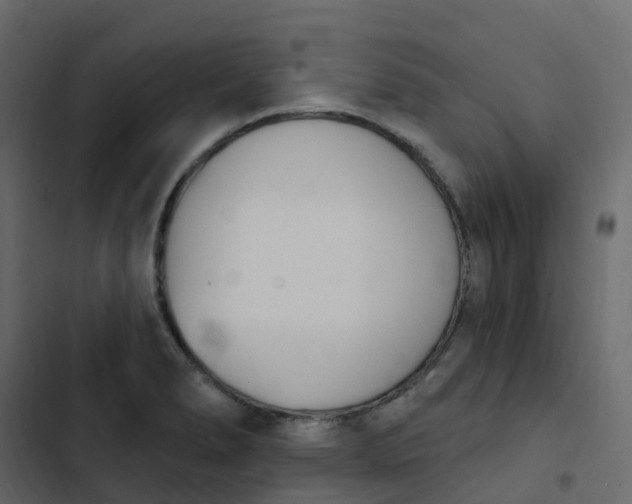 X0000102871278200809021439