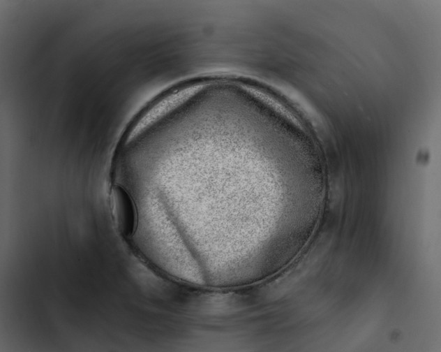 X0000102871279200809021439