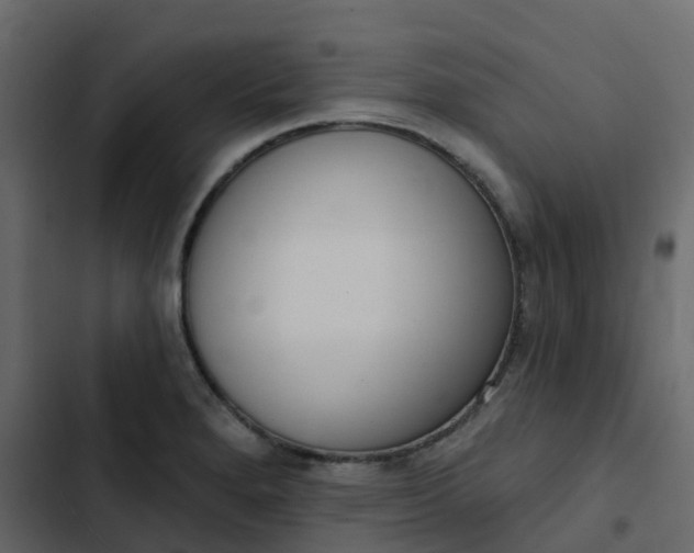 X0000102871280200809021439