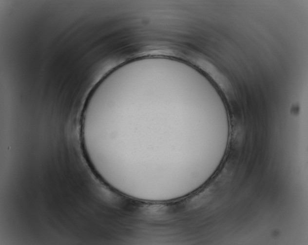 X0000102871282200809021438