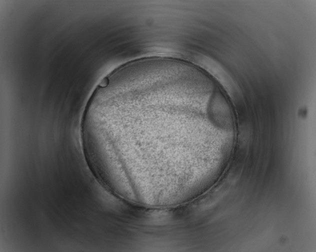 X0000102871283200809021438