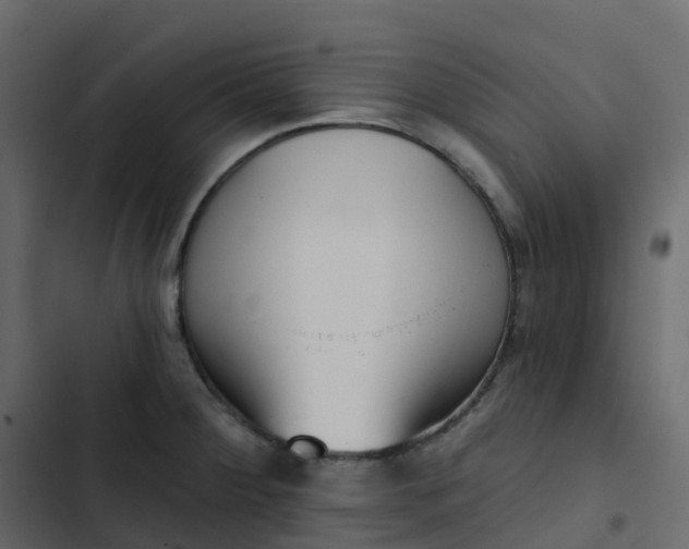 X0000102871284200809021438