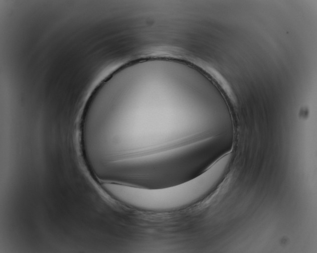 X0000102871285200809021438