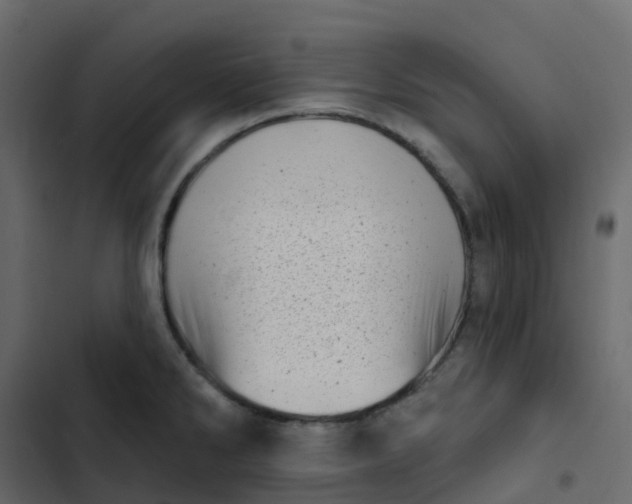 X0000102871286200809021438