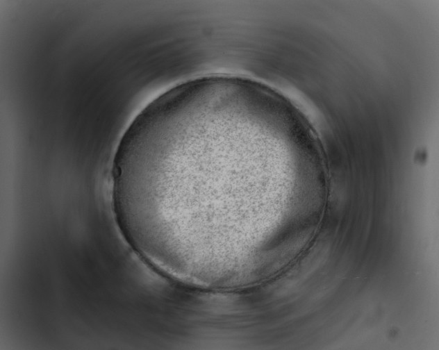 X0000102871287200809021438