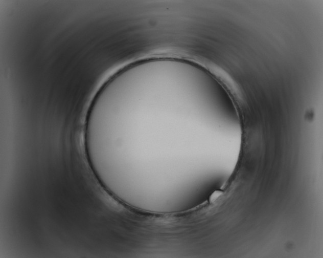 X0000102871288200809021438