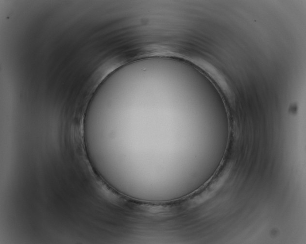 X0000102871289200809021438