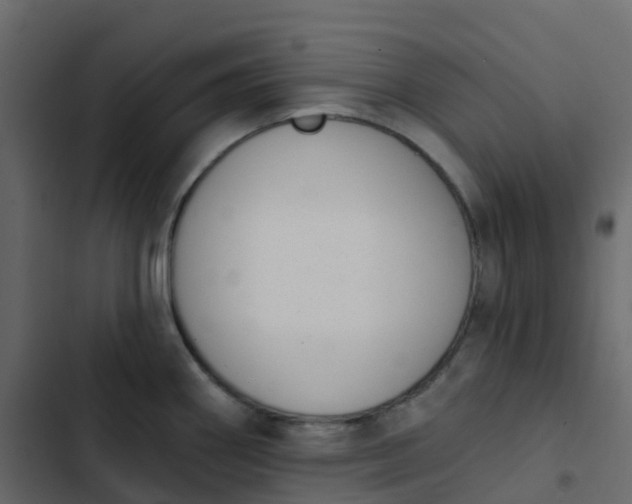 X0000102871290200809021438