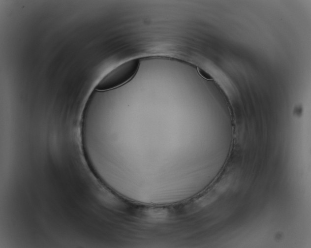 X0000102871291200809021438