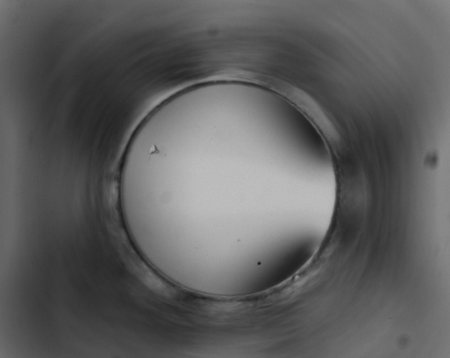 X0000102871292200809021438