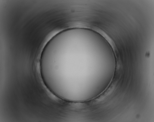 X0000102871293200809021438