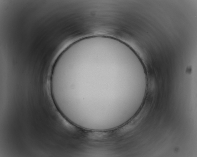 X0000102871294200809021438