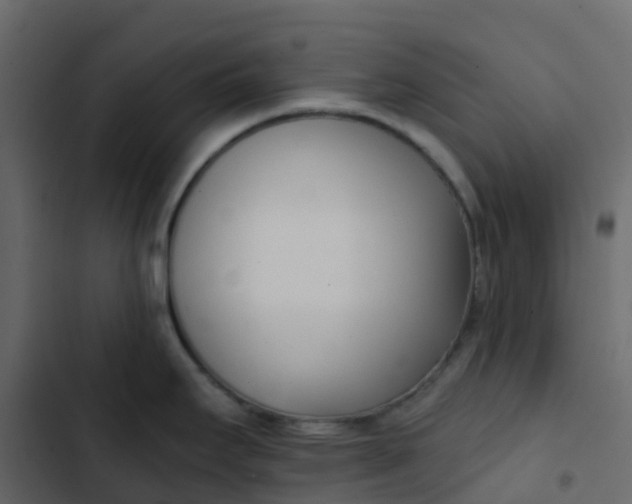 X0000102871295200809021438