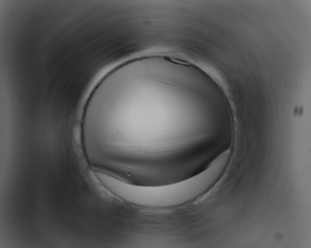 X0000102871296200809021438