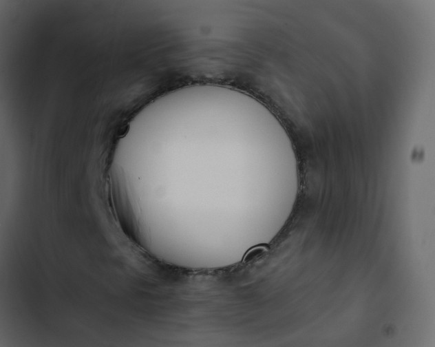 X0000102871297200809021438