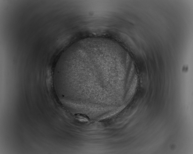 X0000102871298200809021438