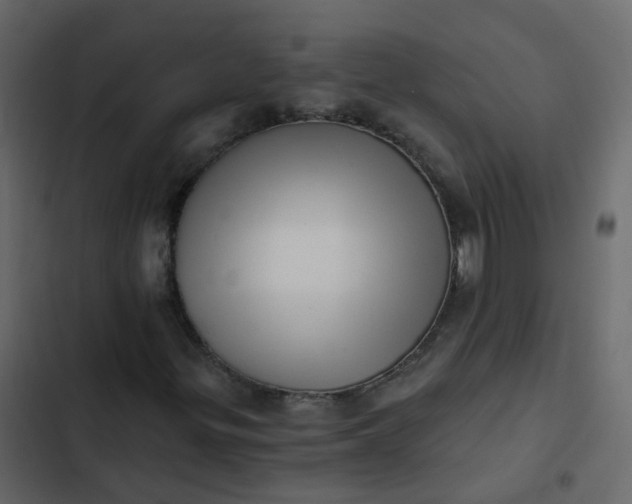 X0000102871299200809021438