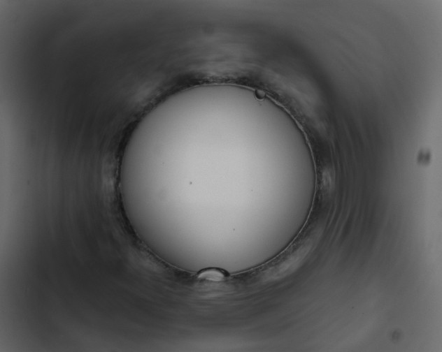 X0000102871300200809021438