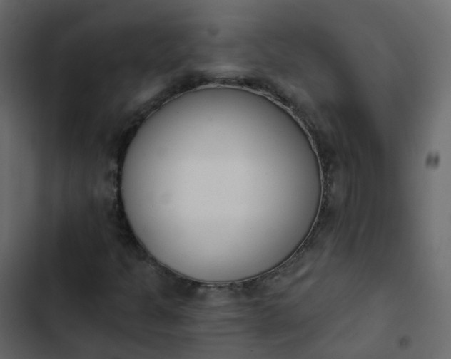 X0000102871301200809021438