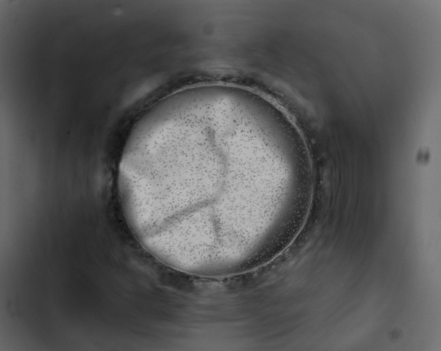 X0000102871302200809021438