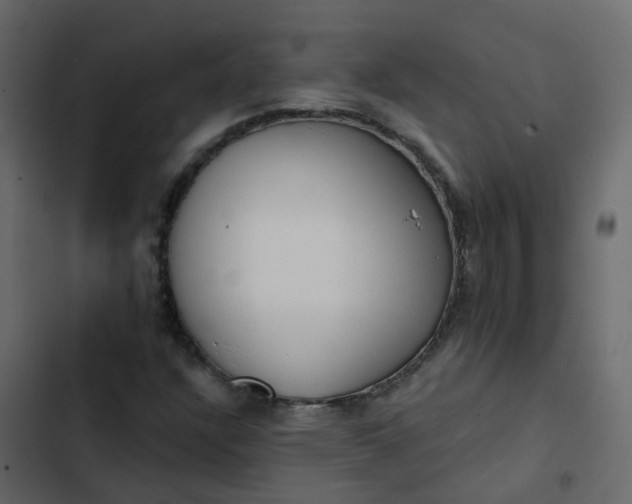 X0000102871304200809021438