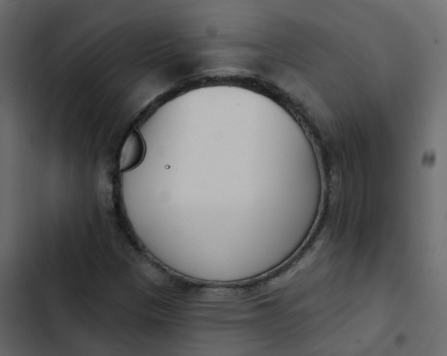 X0000102871305200809021438