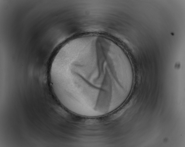 X0000102871306200809021438