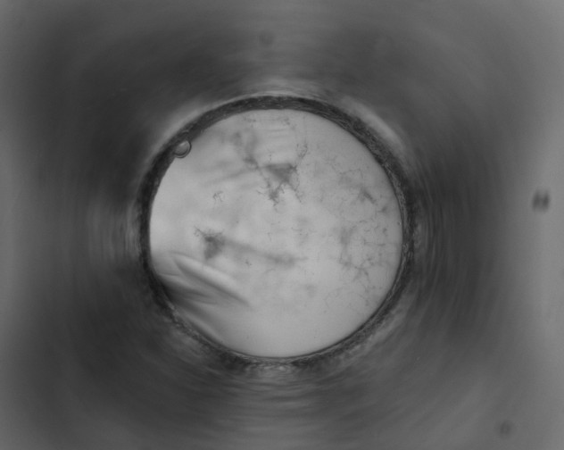 X0000102871310200809021438