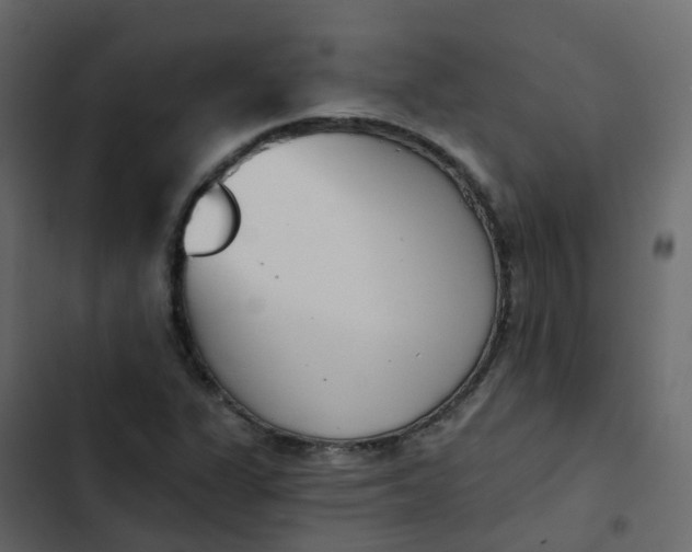 X0000102871311200809021438