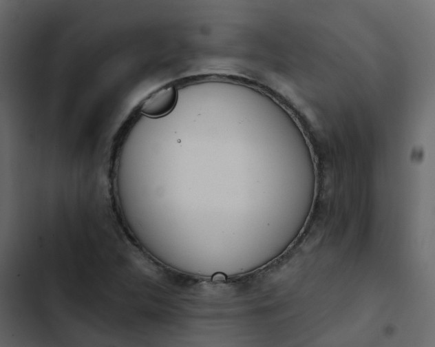 X0000102871312200809021438